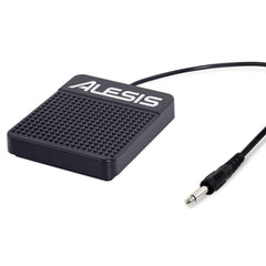 Alesis ASP 1 Keyboard Sustain Pedal | Melodica Music Store Dubai